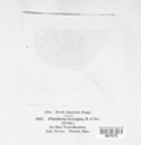Pileolaria brevipes image